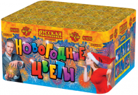 Новогодние цветы Фейерверк купить в Покровске | pokrovsk.salutsklad.ru