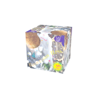 Новогодняя ночь Салют купить в Покровске | pokrovsk.salutsklad.ru