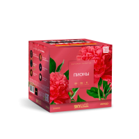 Пионы Салют купить в Покровске | pokrovsk.salutsklad.ru