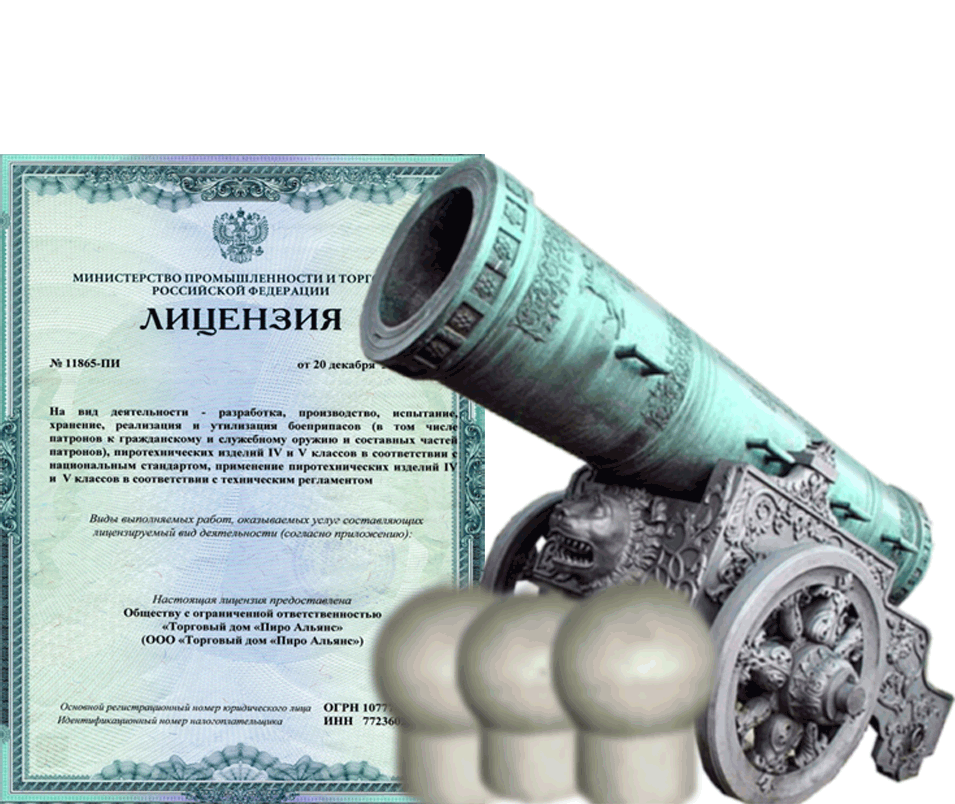 Заказать фейерверк на Новый Год - салют в Покровске