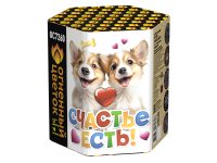 Счастье есть! Салют купить в Покровске | pokrovsk.salutsklad.ru