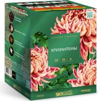 Хризантемы Фейерверк купить в Покровске | pokrovsk.salutsklad.ru