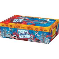 Горжусь Россией! Фейерверк купить в Покровске | pokrovsk.salutsklad.ru