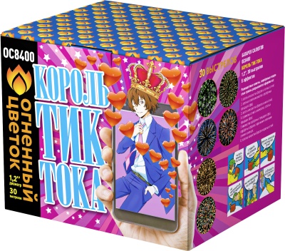 Король Тик-Тока Батарея салютов купить в Покровске | pokrovsk.salutsklad.ru