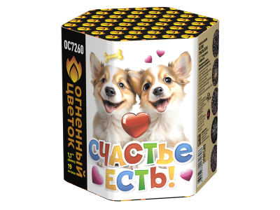 Счастье есть! Салют купить в Покровске | pokrovsk.salutsklad.ru